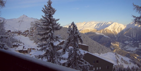 Waldhaus Bettmeralp Appartement Florian