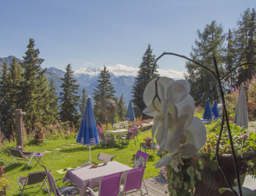 Aussicht aus dem Restaurant