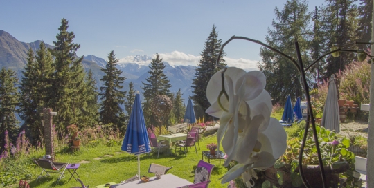 Aussicht Restaurant Sommer