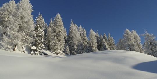 Waldhaus Bettmeralp Winter
