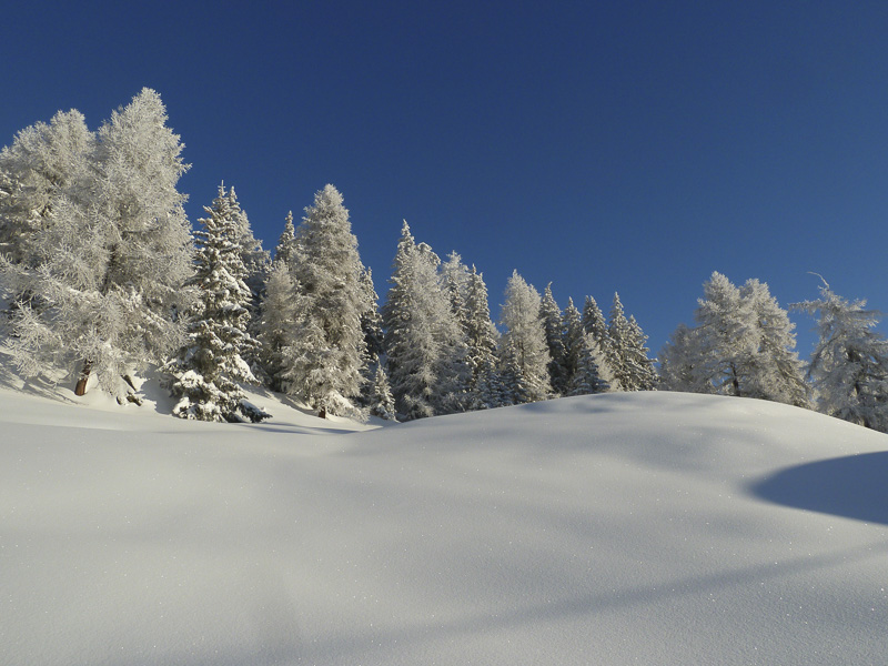 Waldhaus Bettmeralp Winter