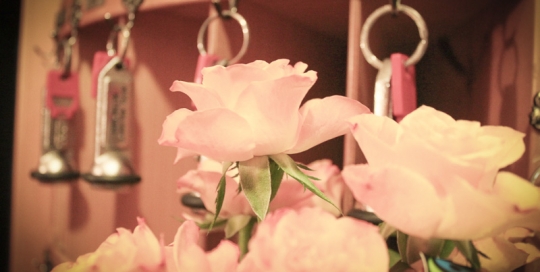 Waldhaus Bettmeralp Rezeption