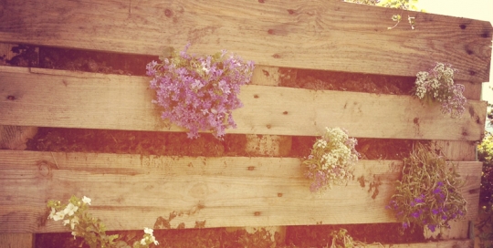 Waldhaus Bettmeralp Sonnerterrasse