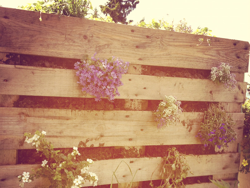 Waldhaus Bettmeralp Sonnerterrasse