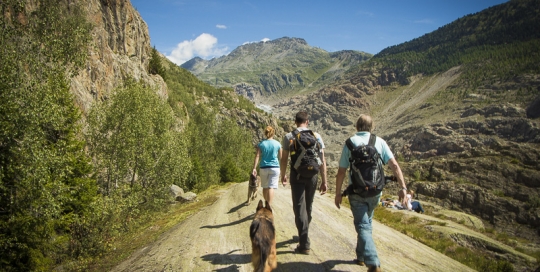 Waldhaus Bettmeralp Wandern