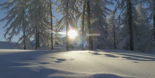 Waldhaus Bettmeralp Winter