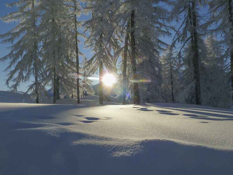 Waldhaus Bettmeralp Winter